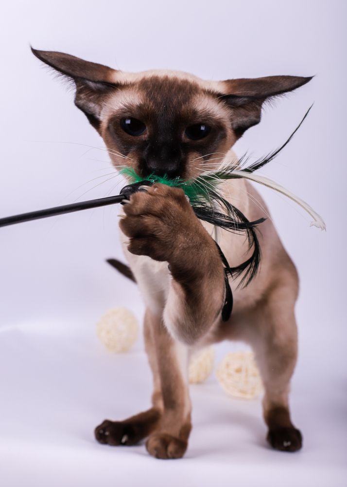 Photograph by Альвина Кузнецова