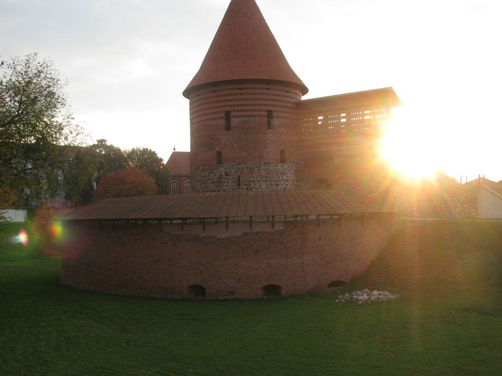 Photo #9826332
