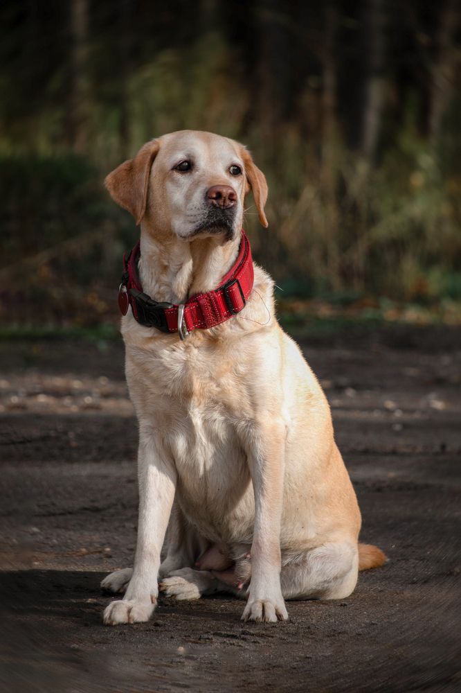 Photograph by Елена Ефимова