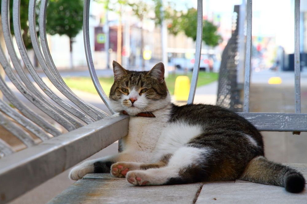 Photograph by Роман Черный