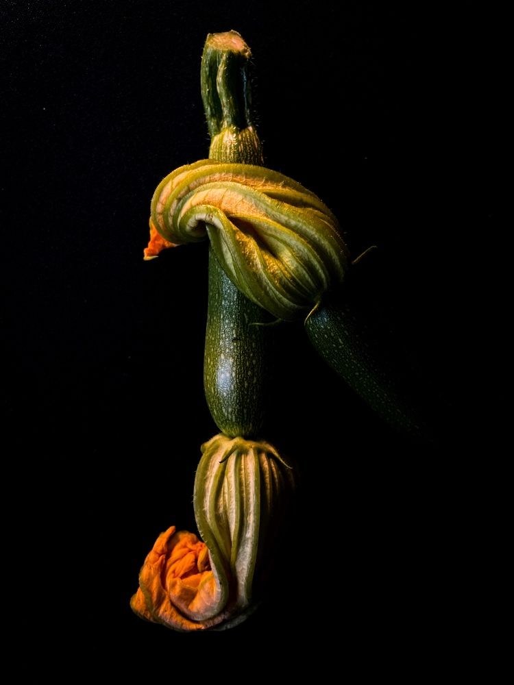 Фотография автора Рамзия Хисамутдинова