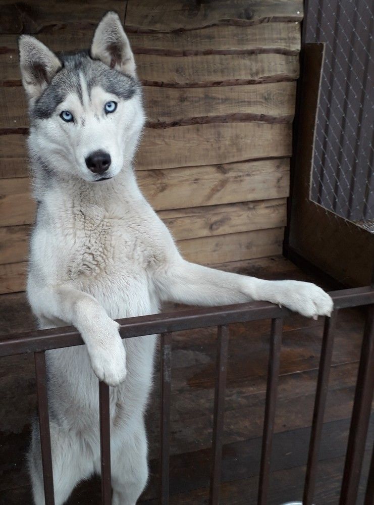 Photograph by Станислав Абаев