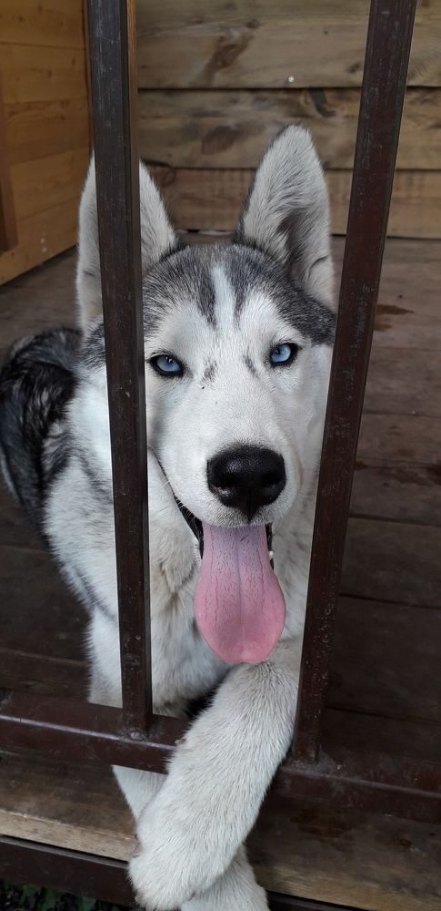 Photograph by Станислав Абаев