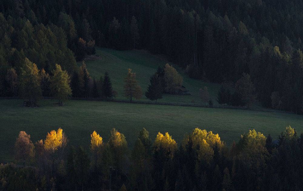 Photograph by Stefano Gelli