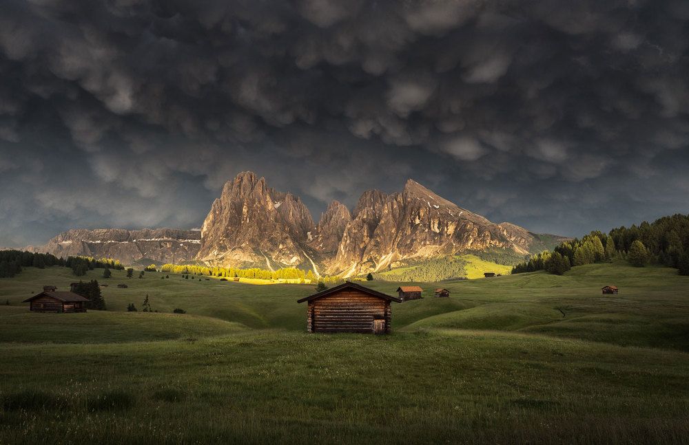 Photograph by Stefano Gelli