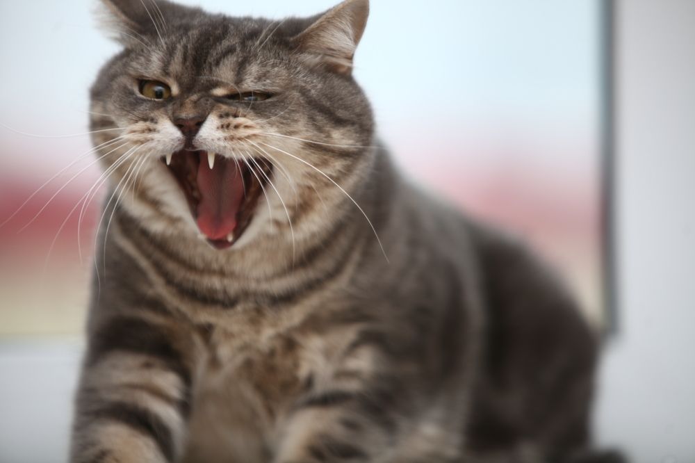 Photograph by Роман Черный