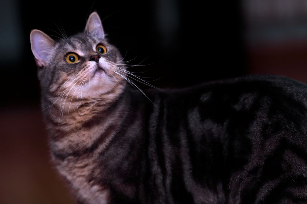 Photograph by Роман Черный