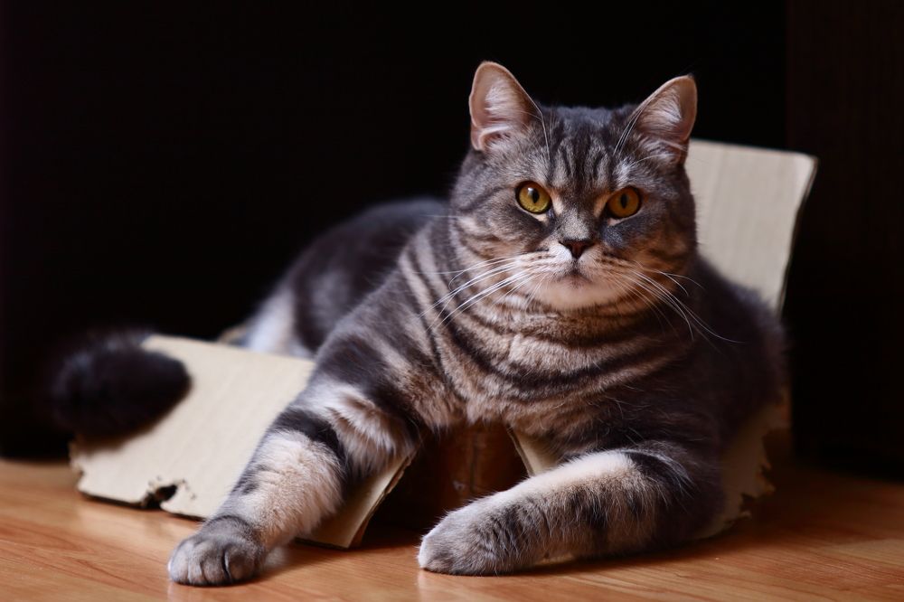 Photograph by Роман Черный