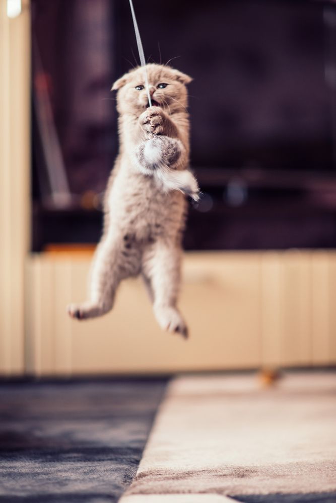 Photograph by Анна Бобкова