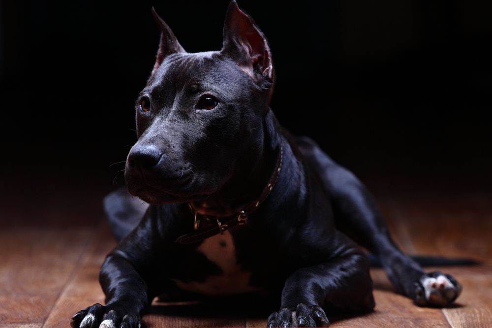 Photograph by Роман Черный