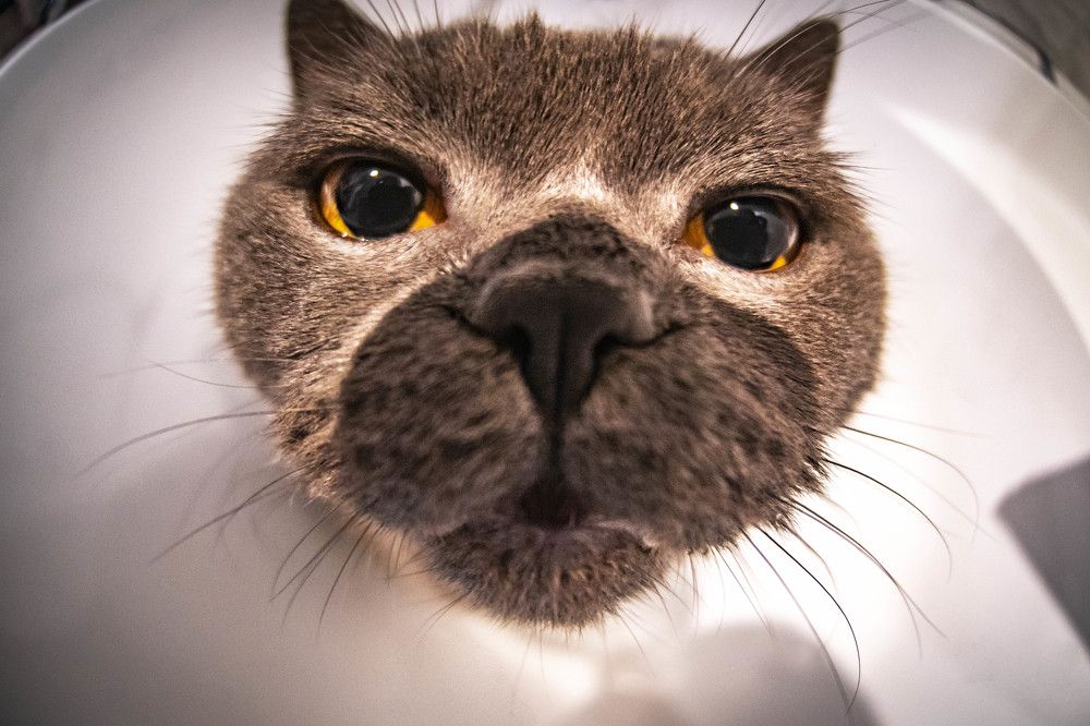 Photograph by Максим Сорокин