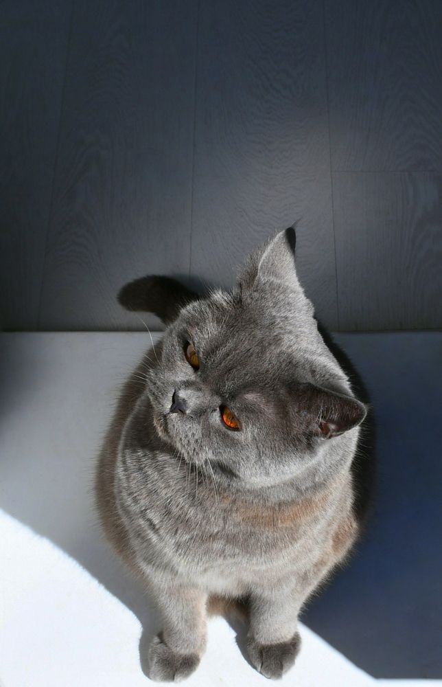 Photograph by Максим Сорокин