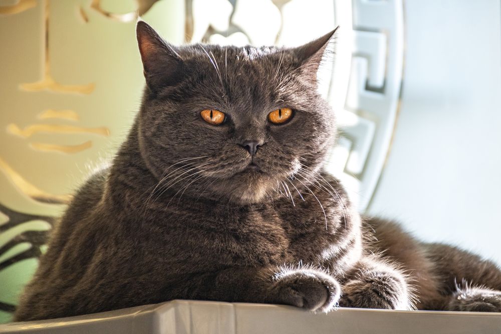 Photograph by Максим Сорокин