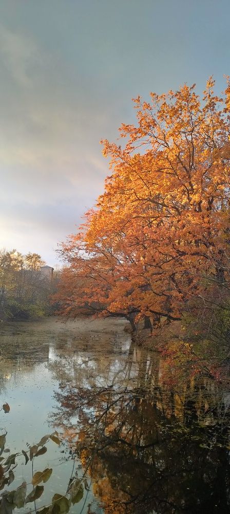 Ноябрьский закат в Санкт-Петербурге