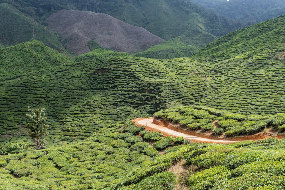 Photograph by Татьяна