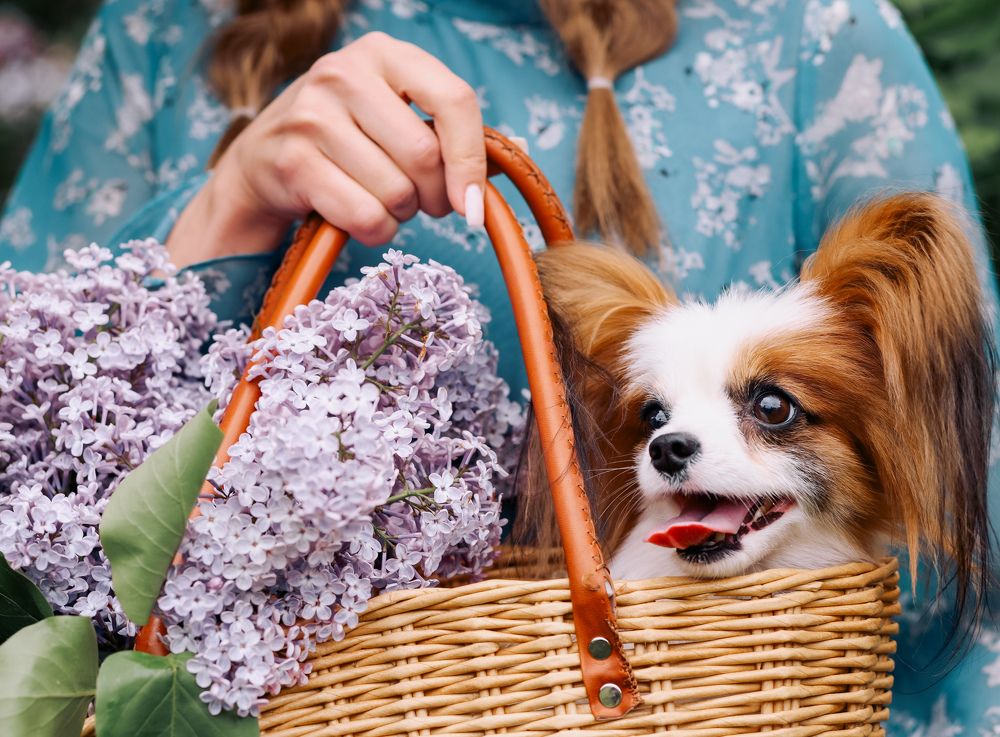 Photograph by Ольга Носкова