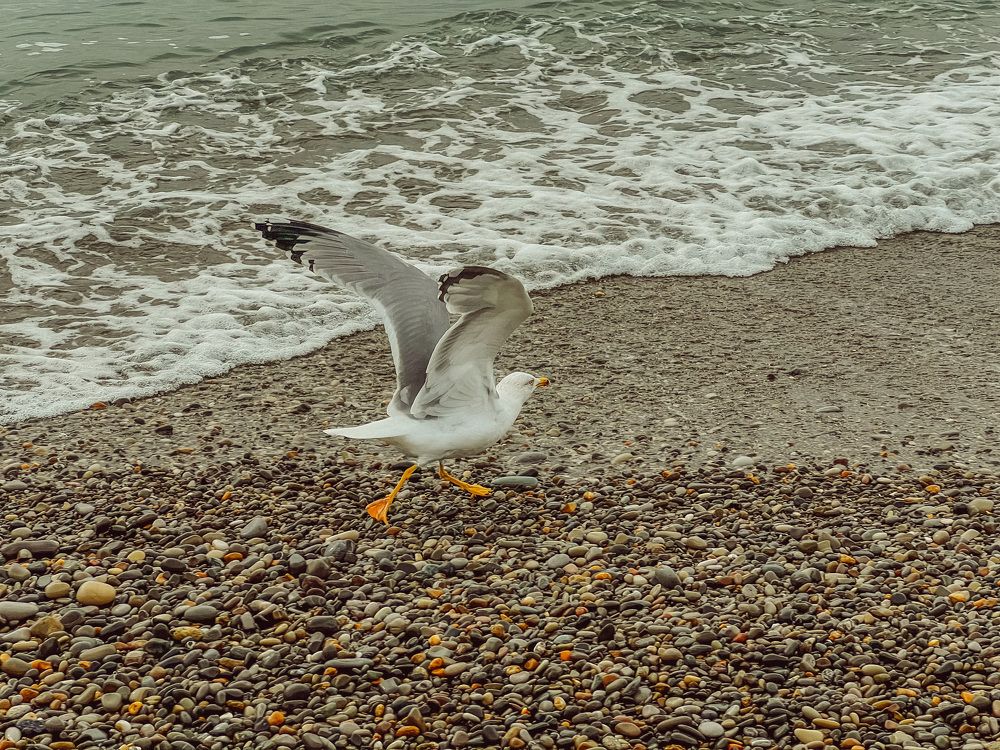 Photograph by Татьяна Михайловна