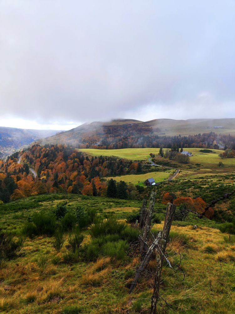 Photograph by Александра