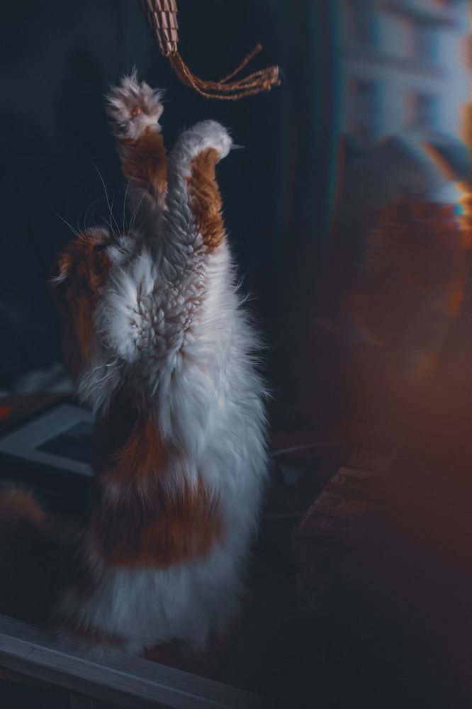 Photograph by Ольга Веретенникова