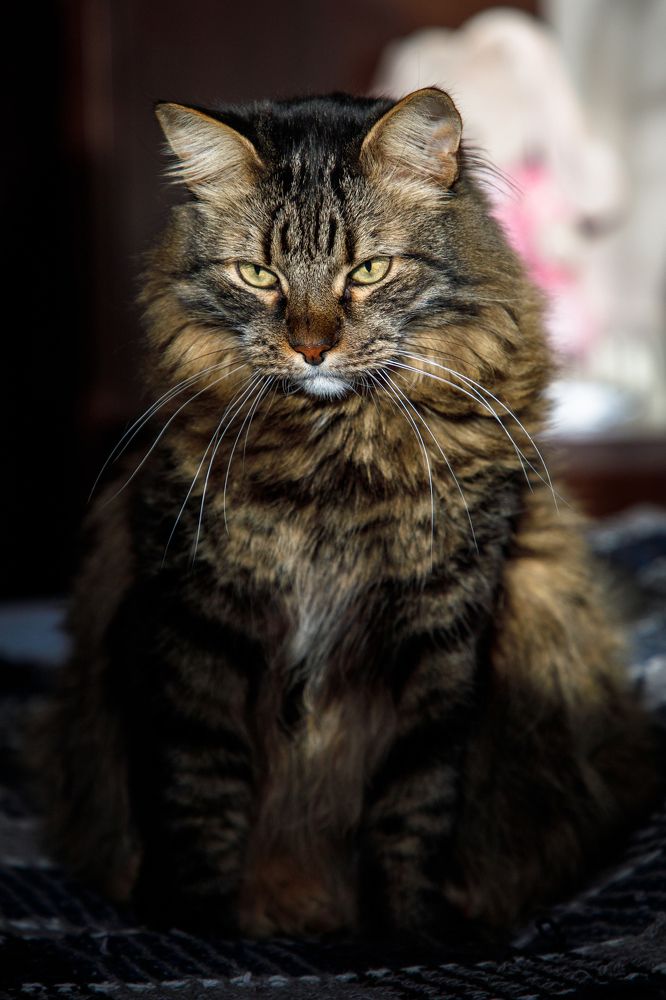 Photograph by Влад Преображенский