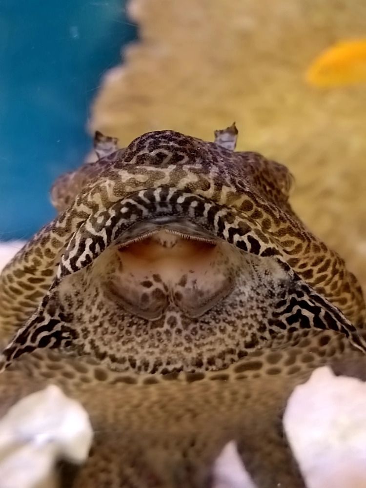 Фотография автора Мария Коледа