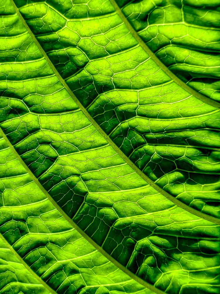 FRACTAL MOUNTAIN RANGES