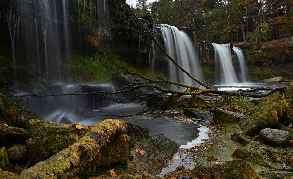 Photograph by IJA REIMAN