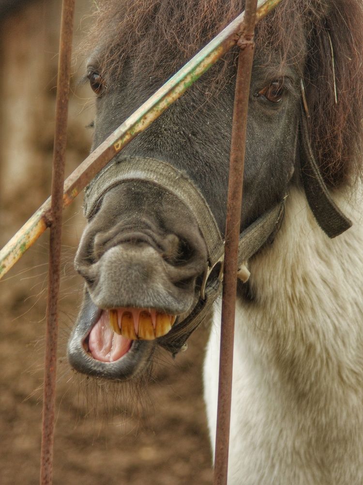Photograph by Елена Гусева