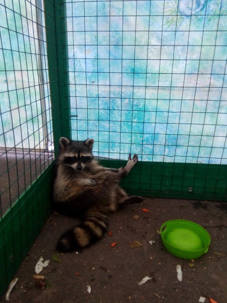 Photograph by Татьяна Смирнова