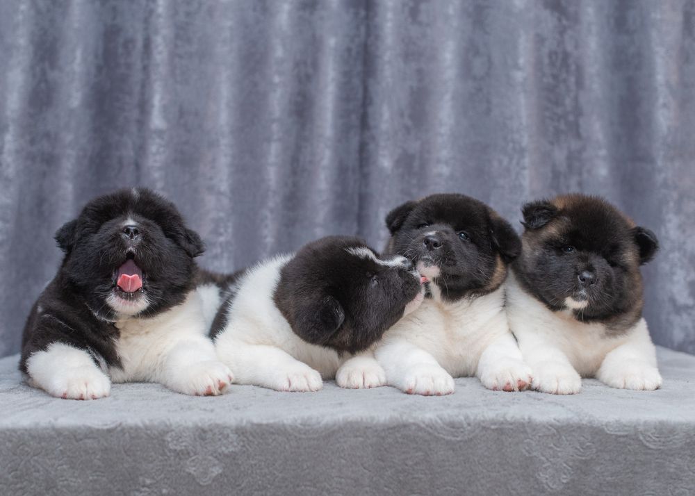 Photograph by Татьяна Рыбцева