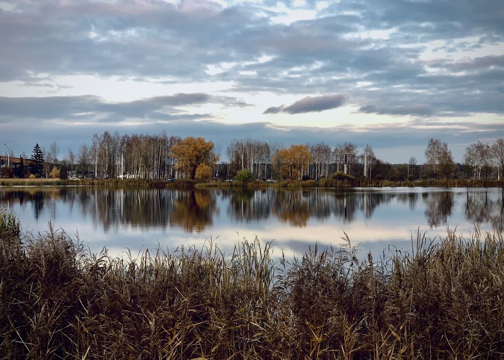 Photograph by Надежда Смирнова