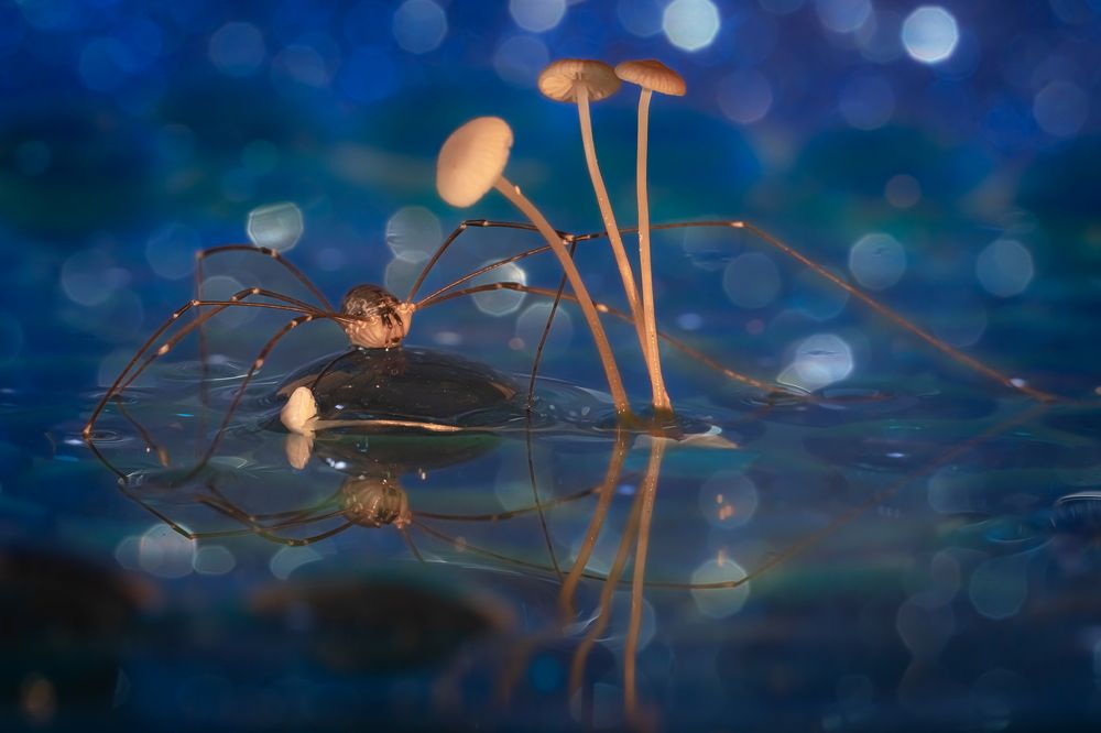 Photograph by Николай Фонарёв