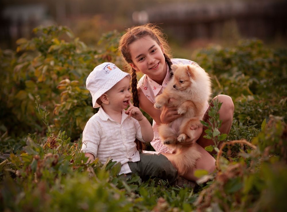 Photograph by Татьяна Родикова