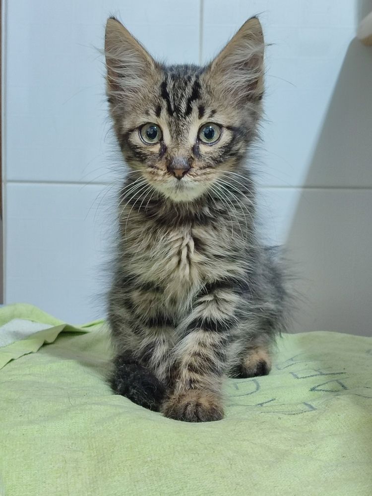 Photograph by evgeniya bazhukova