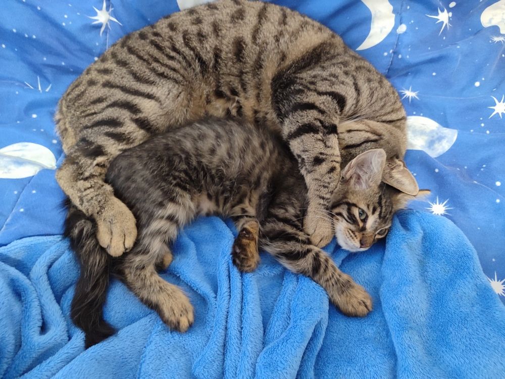 Photograph by evgeniya bazhukova