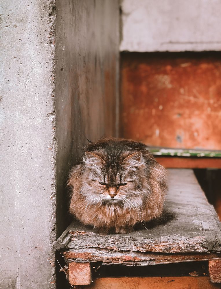 Photograph by Карина