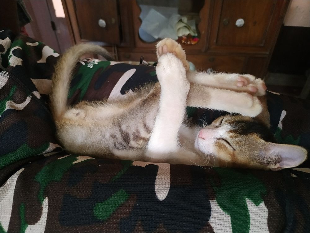 Photograph by Souvik De