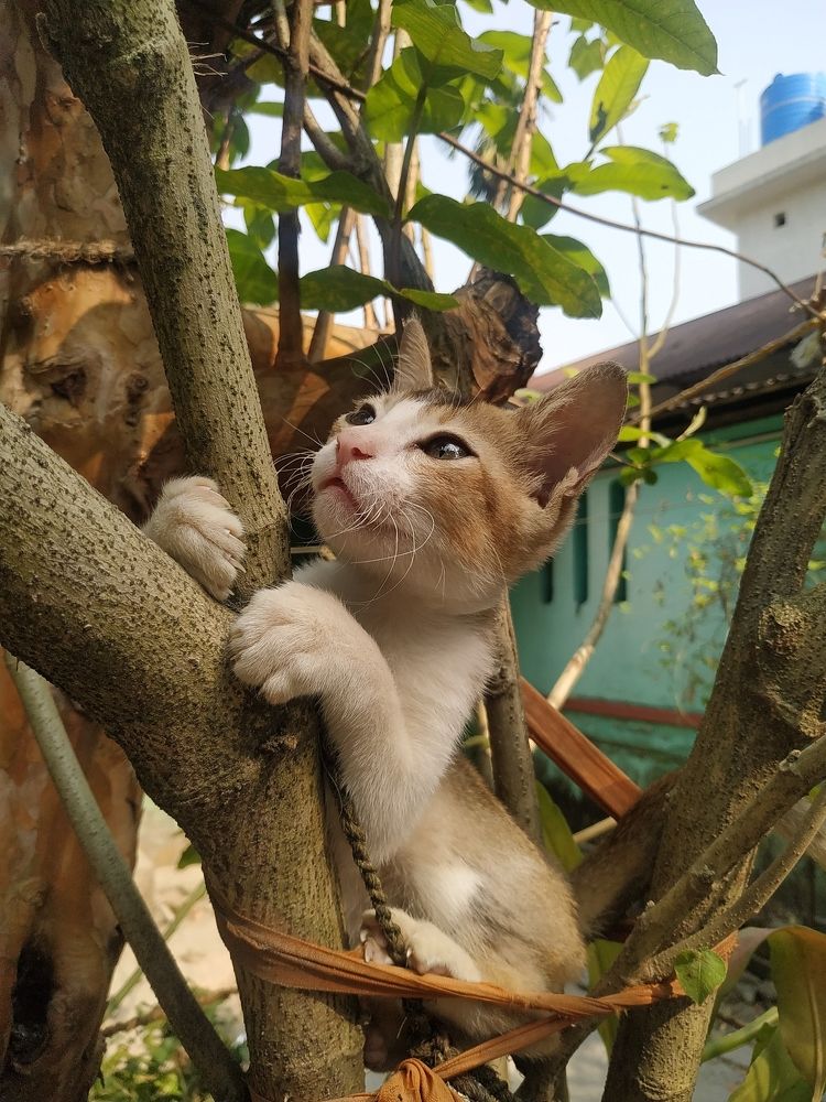 Photograph by Souvik De