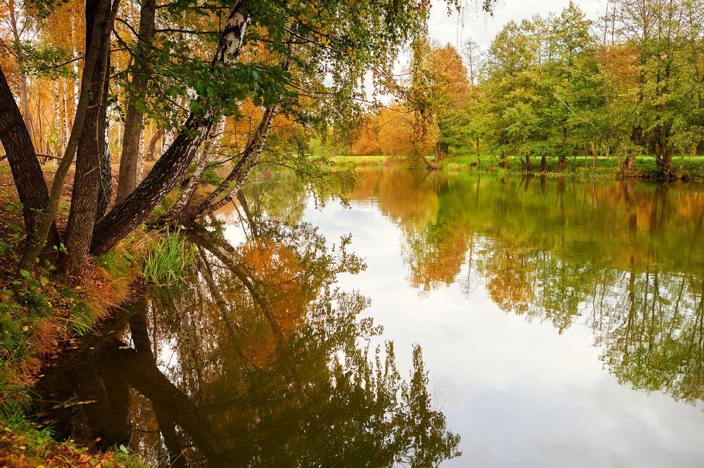 Photograph by Дмитрий