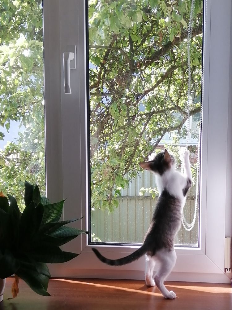 Photograph by Ирина Холодий