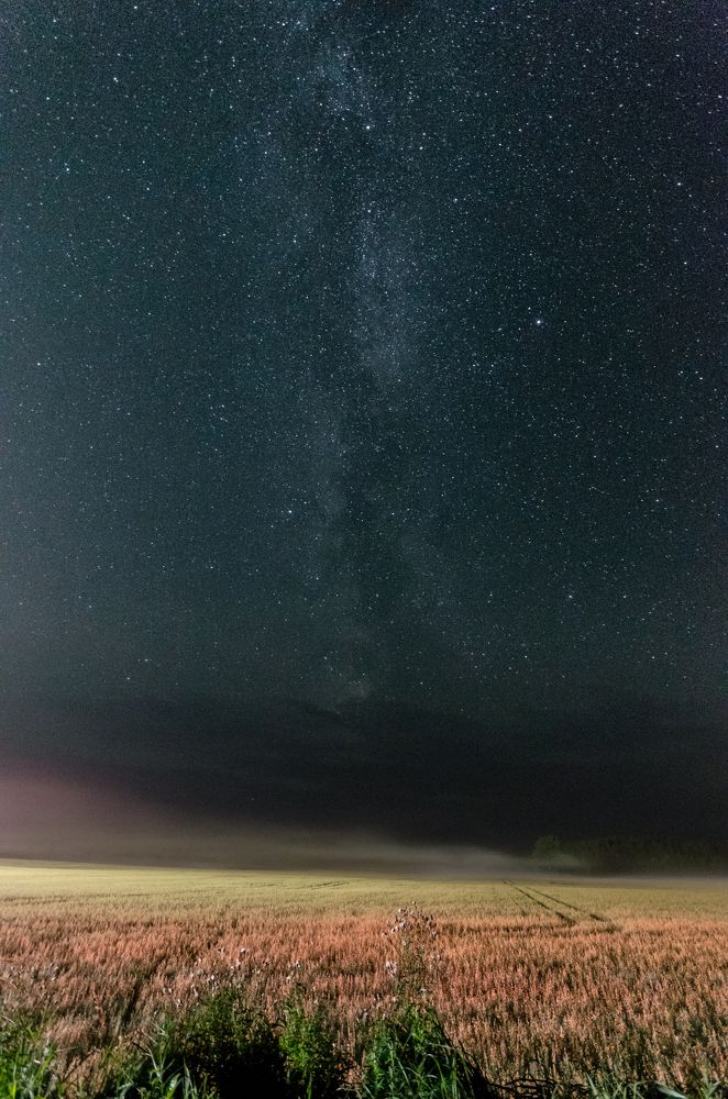 Photograph by Alexey S