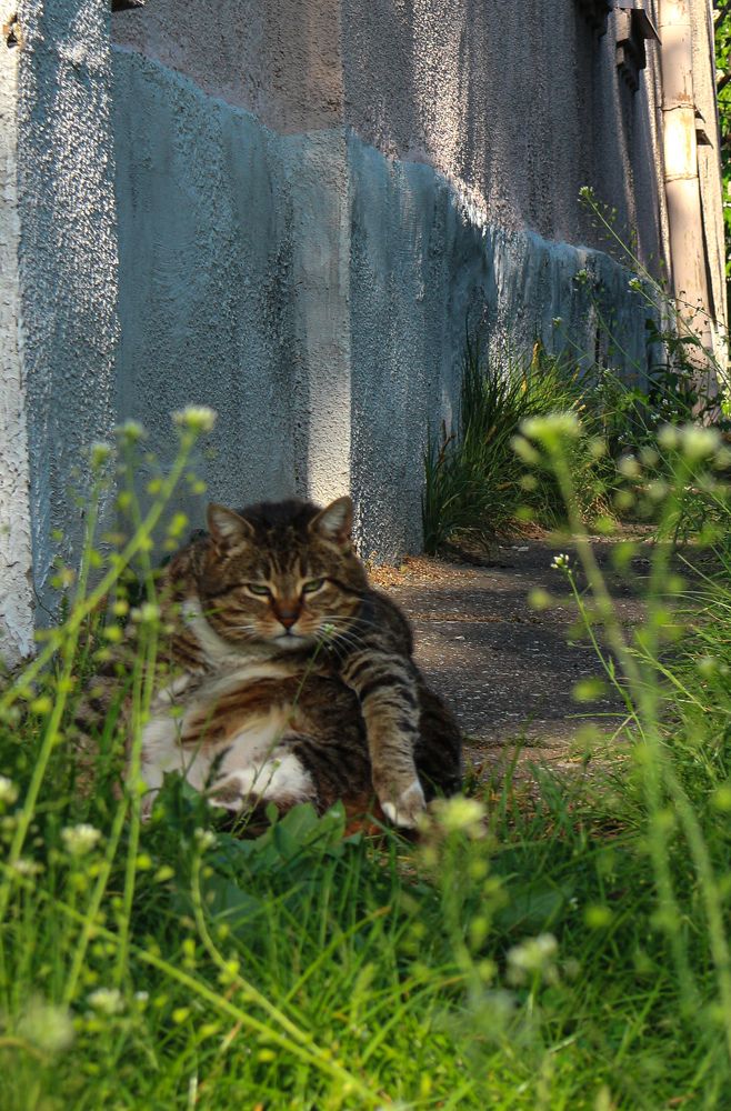 Фотография автора Ольга Панасюк