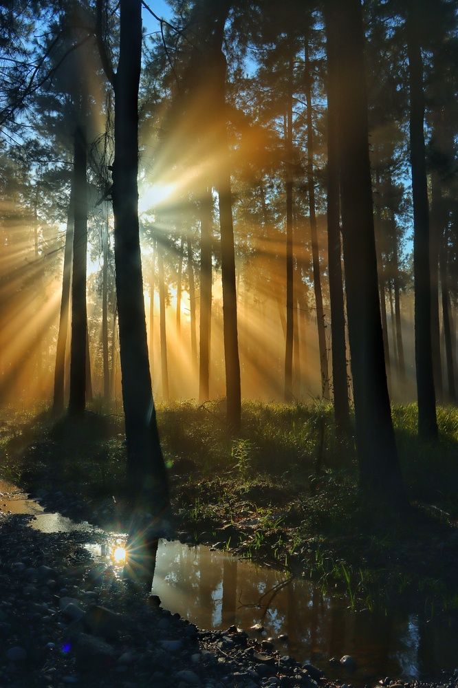 Photograph by Arsalan mohamadniya