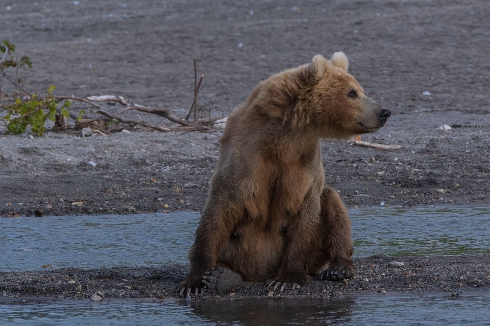 Фотография автора Савчиц Марина