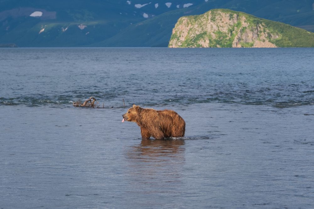 Фотография автора Савчиц Марина