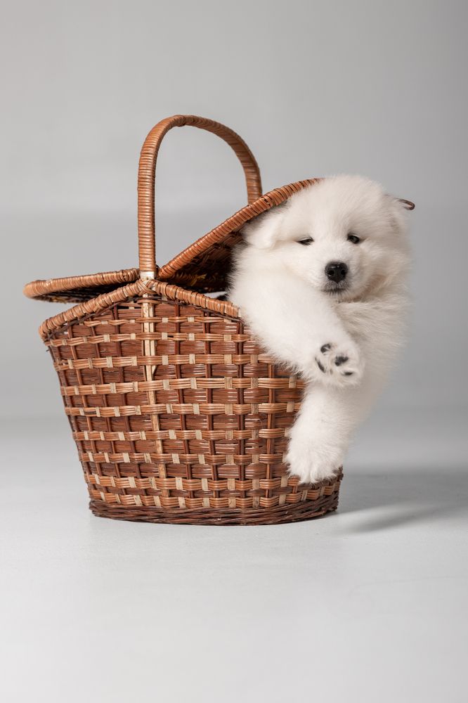 Фотография автора Регина Гущина