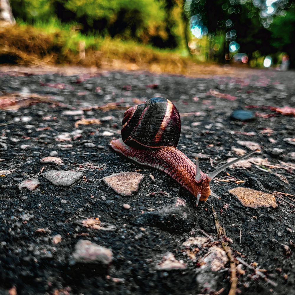 Фотография автора Алёна Кудряшова