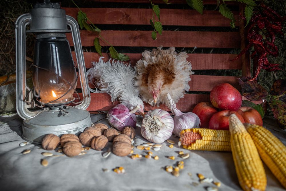 Photograph by Инна Дрокина