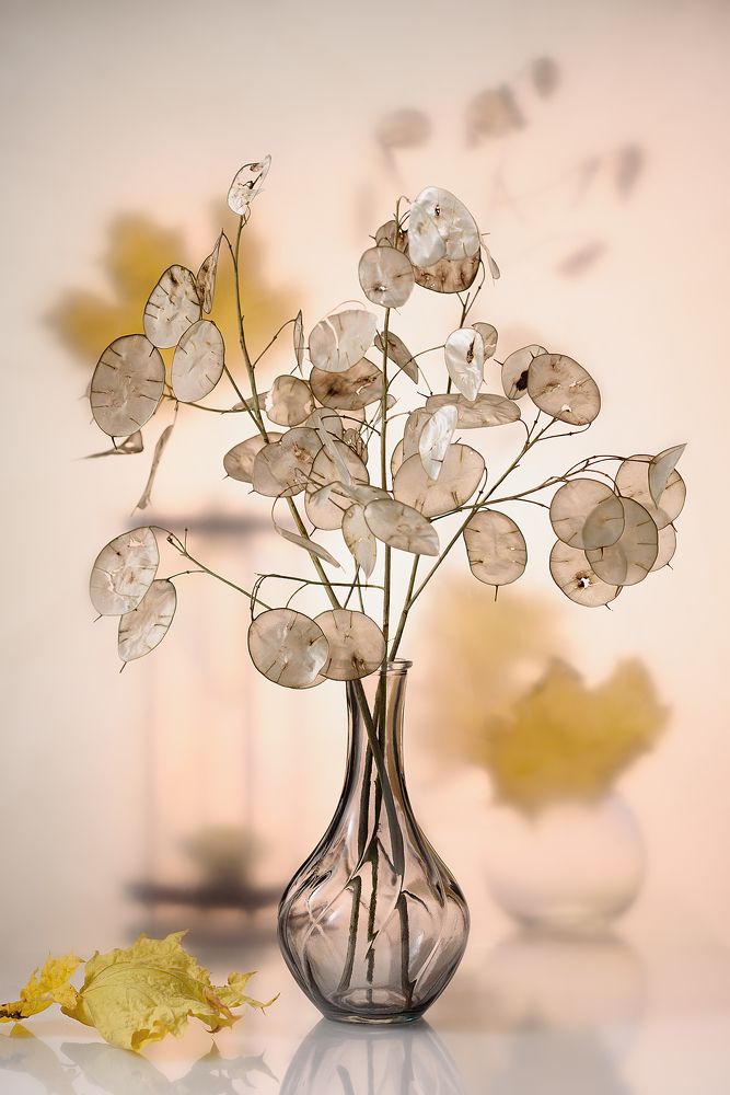 Photograph by Нуждин Андрей