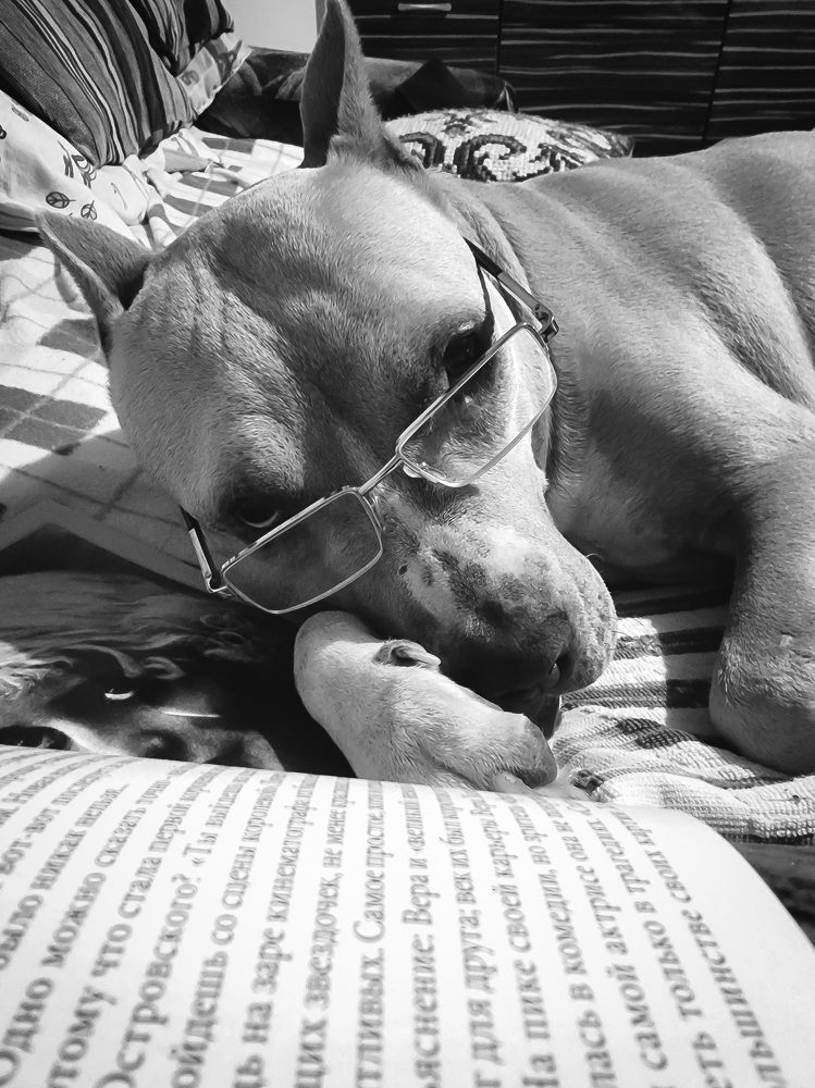 Photograph by George Pavlov